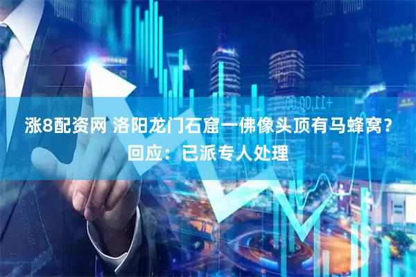 涨8配资网 洛阳龙门石窟一佛像头顶有马蜂窝？回应：已派专人处理