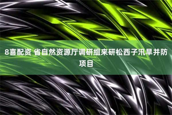 8喜配资 省自然资源厅调研组来研松西子汛旱并防项目