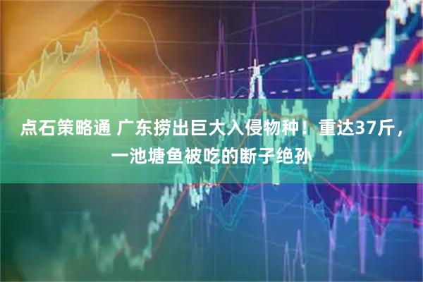点石策略通 广东捞出巨大入侵物种！重达37斤，一池塘鱼被吃的断子绝孙