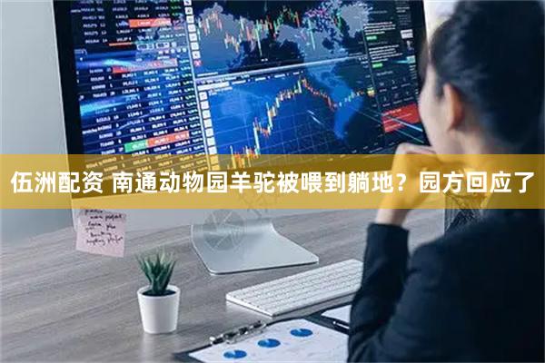 伍洲配资 南通动物园羊驼被喂到躺地？园方回应了